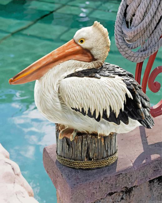 Great White Pelican Paint By Numbers
