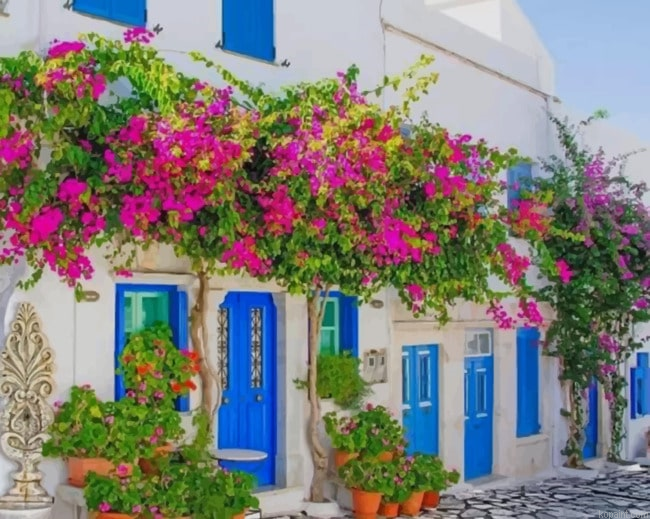 Greece Houses New Painting By Numberss.png