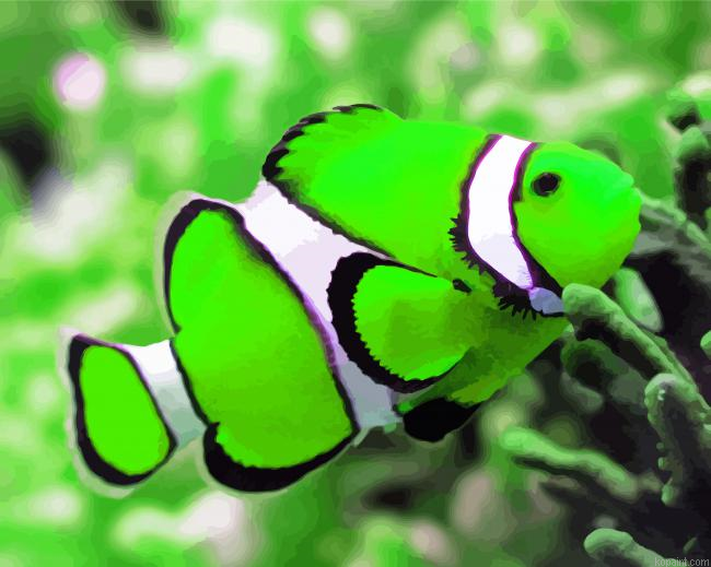 Green And White Elegant Fish Painting By Numberss.png