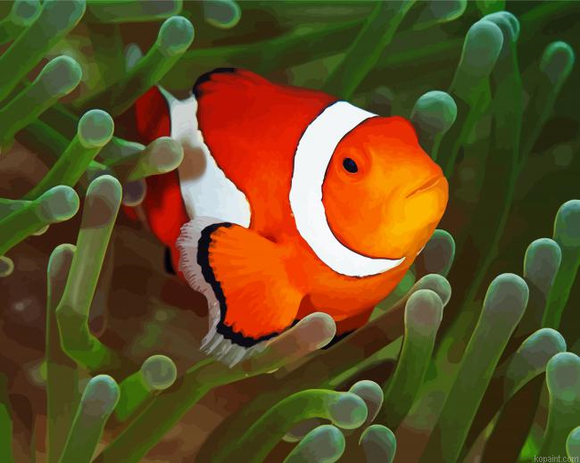 Green Anemones Clown Fish Painting By Numberss.png