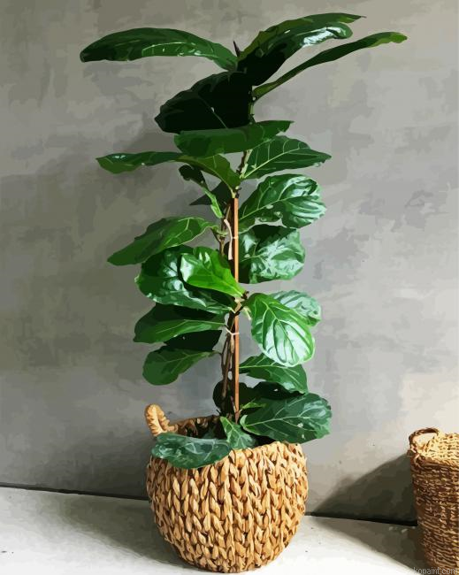 Green Fiddle Leaf Fig Plant Pot Paint By Numbers.png