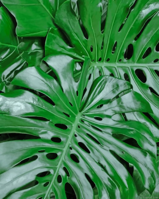 Green Monster Leaves Painting By Numberss.png