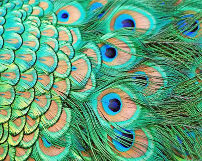 Green Peacock Feather Painting By Numberss.png