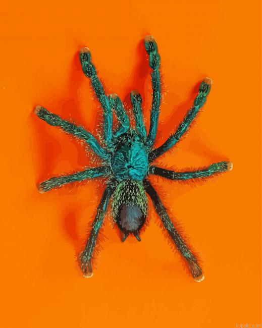 Green Spider Painting By Numberss.png