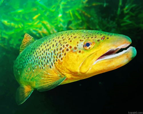Green Trout Painting By Numberss.png