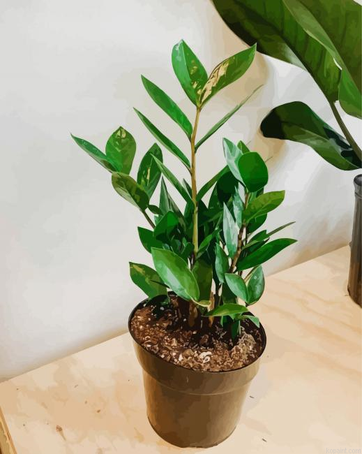 Green Zamioculcas Plant Pot Paint By Numbers.png
