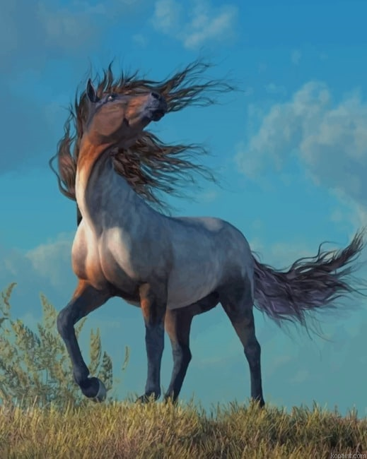 Grey Horse New Painting By Numberss.png