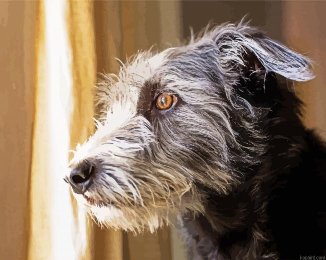 Grey Puppy Looking Out Window Painting By Numberss.png
