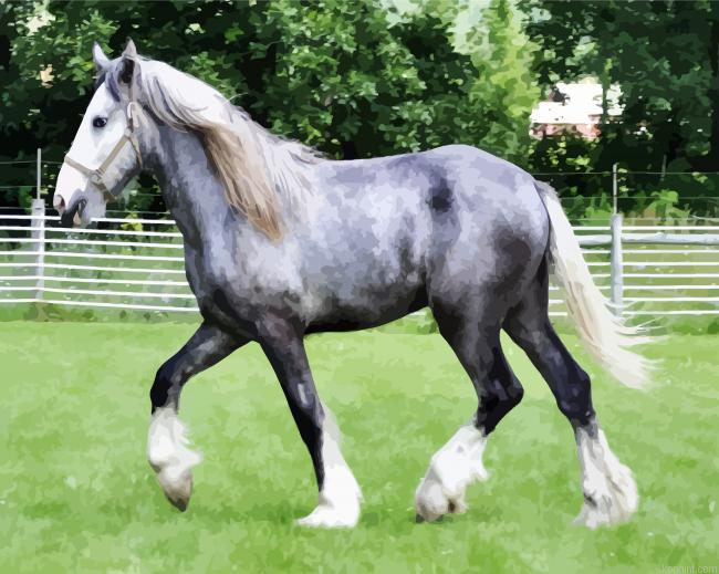 Grey Shire Horse Paint By Numbers