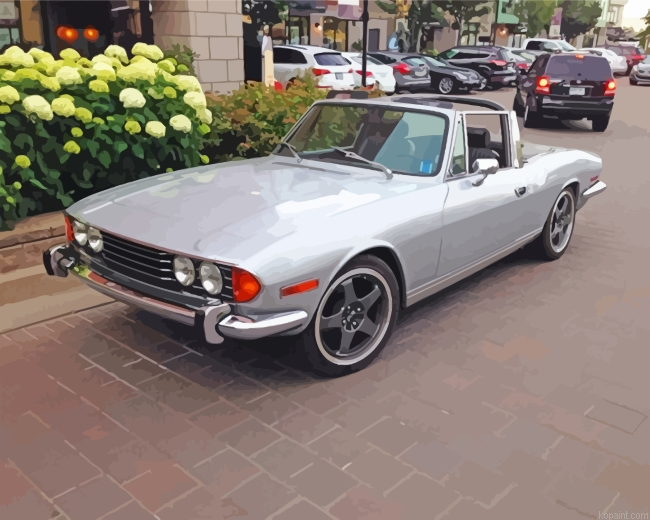 Grey Triumph Stag Painting By Numberss.png