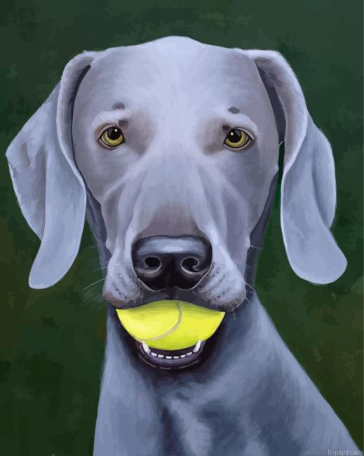 Grey Weimaraner Dog Paint by Numbers