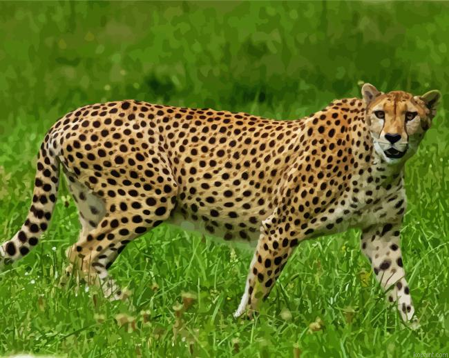 Guepard Animal In Jungle Painting By Numberss.png