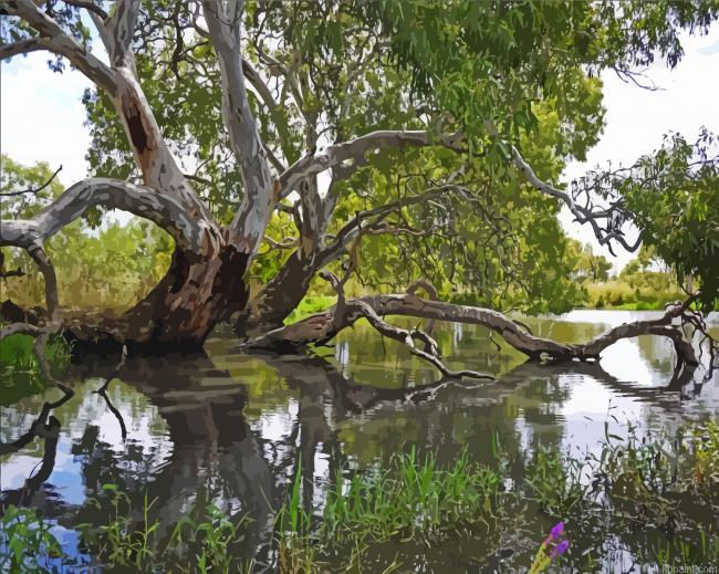 Gumtree Above The Pond Painting By Numberss.png