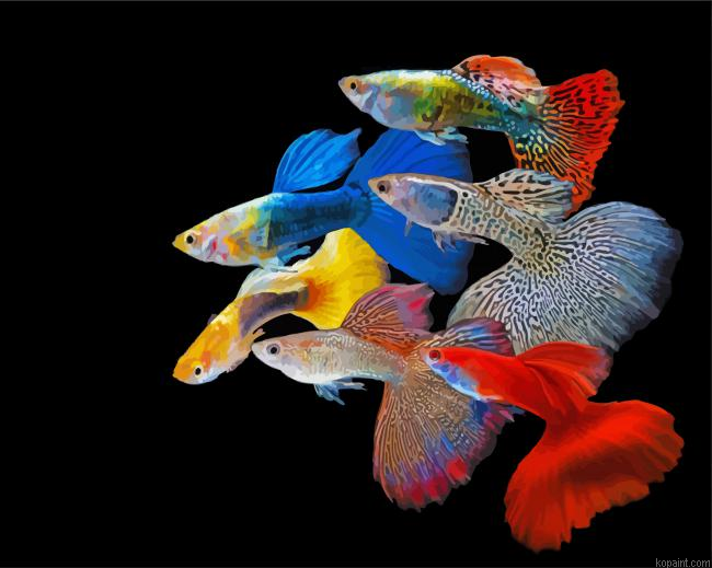 Guppy Rainbow Fish Painting By Numberss.png