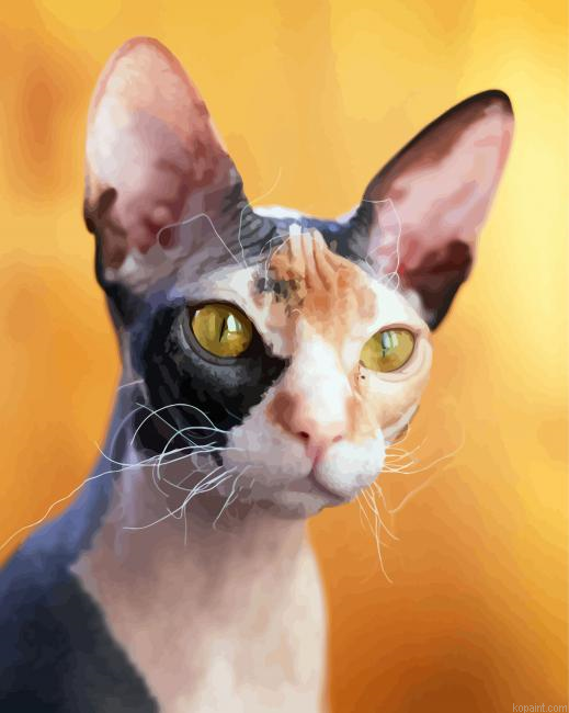 Hairless Cat Painting By Numberss.png