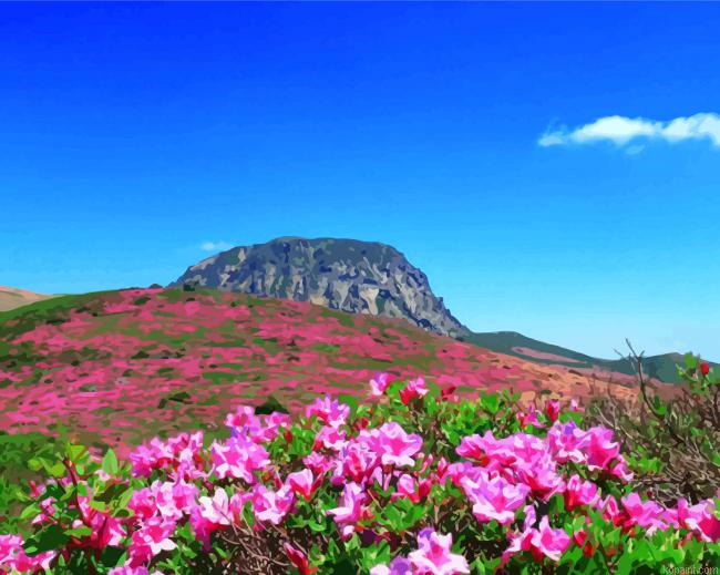 Hallasan Jeju Painting By Numberss.png