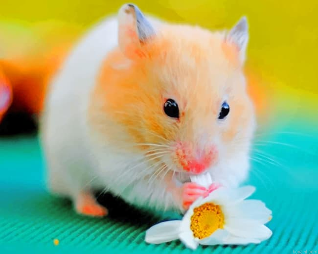 Hamster Eating Flower Painting By Numberss.png