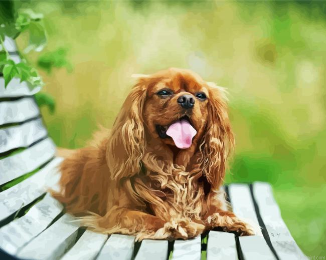 Happy Cavalier King Charles Spaniel Smiling On A Bench Painting By Numberss.png