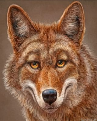 Happy Coyote Painting By Numberss.png
