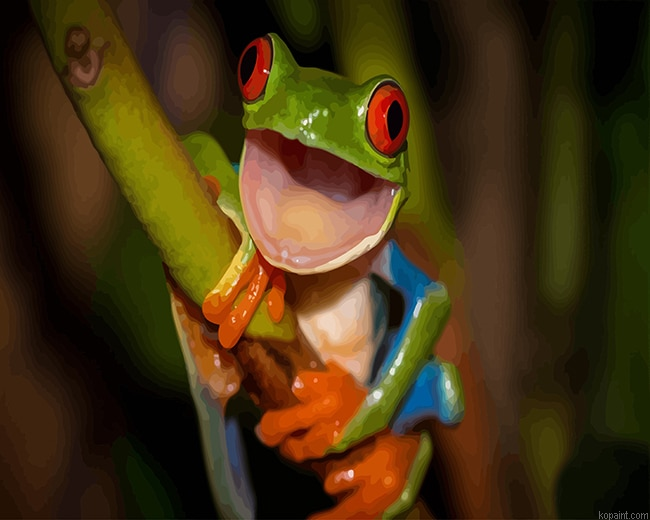 Happy Green Frog New Painting By Numberss.png