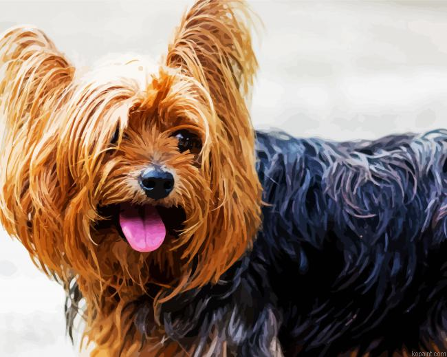 Happy Yorkshire Terrier Puppy Painting By Numberss.png