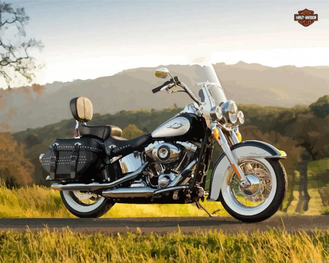 Harley Flstc Motorcycle Painting By Numberss.png