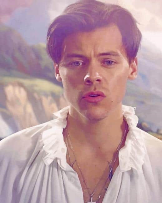 Harry Edward Styles Two Ghosts New Painting By Numberss.png