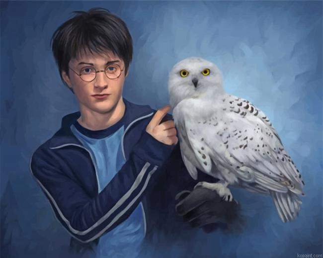 Harry Potter And Companion Hedwig Painting By Numberss.png