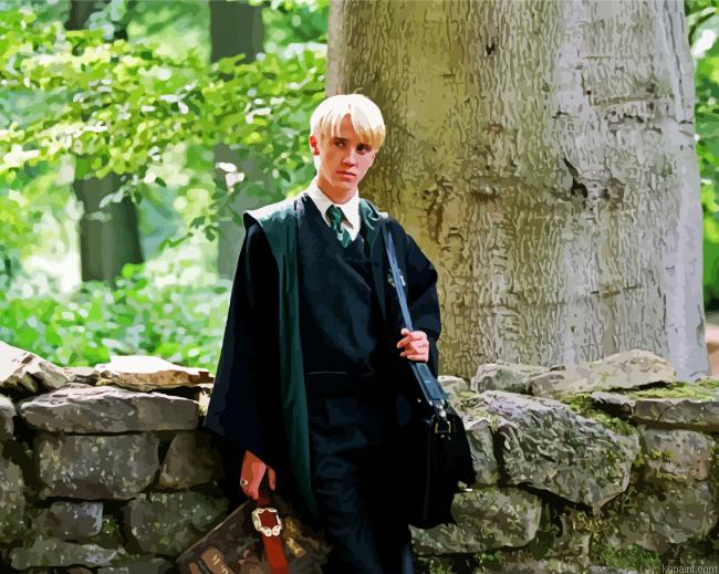 Harry Potter Draco Malfoy Painting By Numberss.png