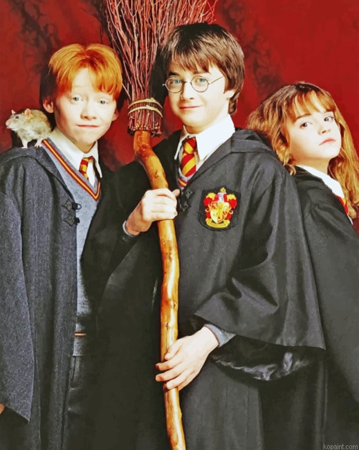 Harry Potter Rone Hermione New Painting By Numberss.png