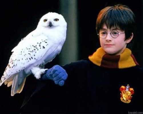 Harry Potter And Owl Painting By Numberss.png