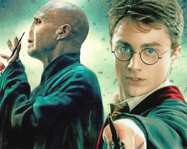 Harry Potter And Voldemort New Painting By Numberss.png