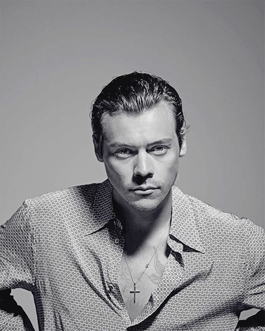 Harry Styles New Hair New Painting By Numberss.png