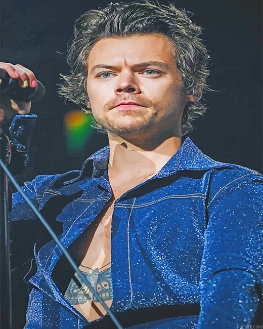 Harry Styles Singer New Painting By Numberss.png