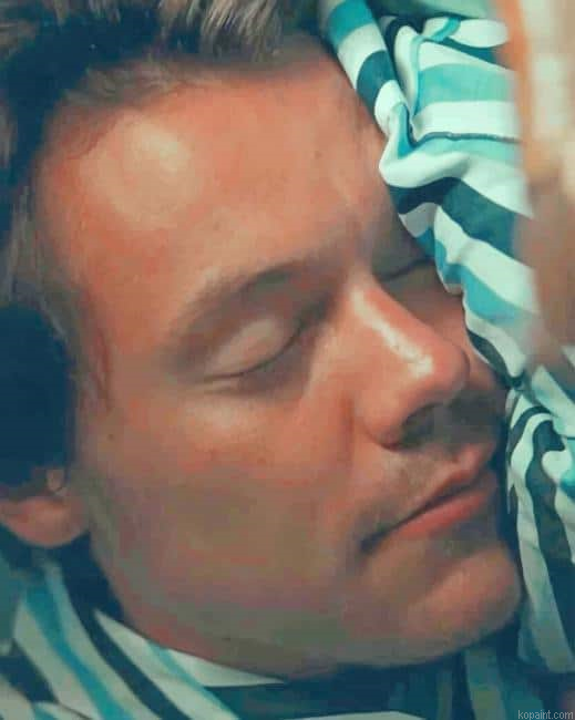 Harry Styles Sleeping New Painting By Numberss.png