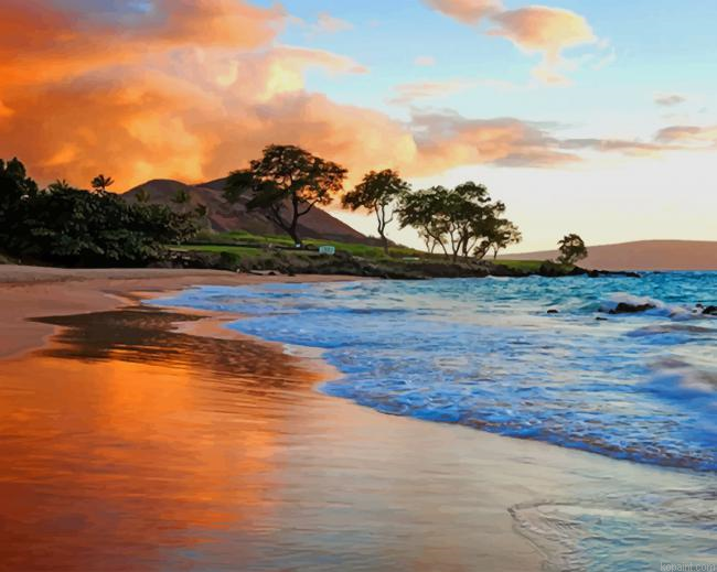Hawaii Beach New Painting By Numberss.png