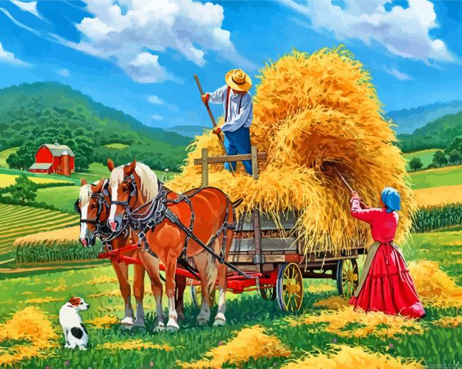 Hay Farm Painting By Numberss.png