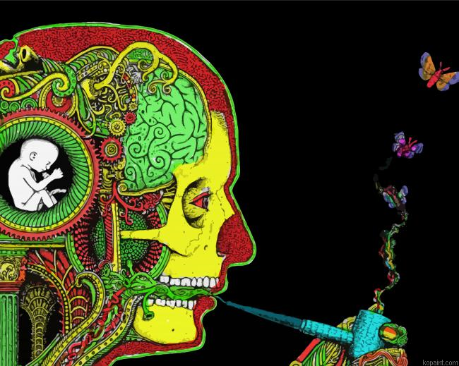 Head Anatomy Art Painting By Numberss.png