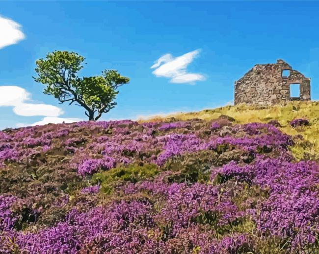 Heather Landscape Painting By Numberss.png
