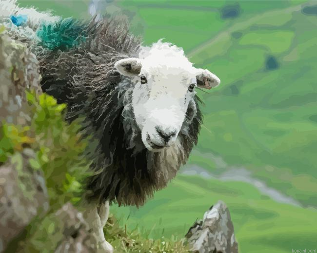 Herdwick Sheep Painting By Numberss.png