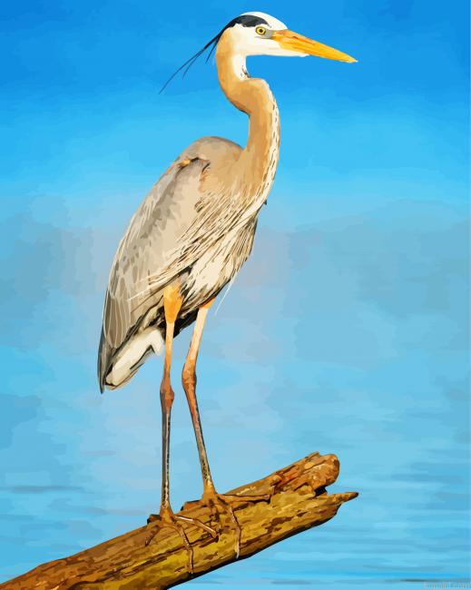 Heron Paint By Numbers