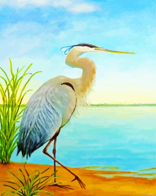 Herron Bird Art Painting By Numberss.png