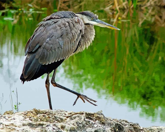 Herron Bird Painting By Numberss.png