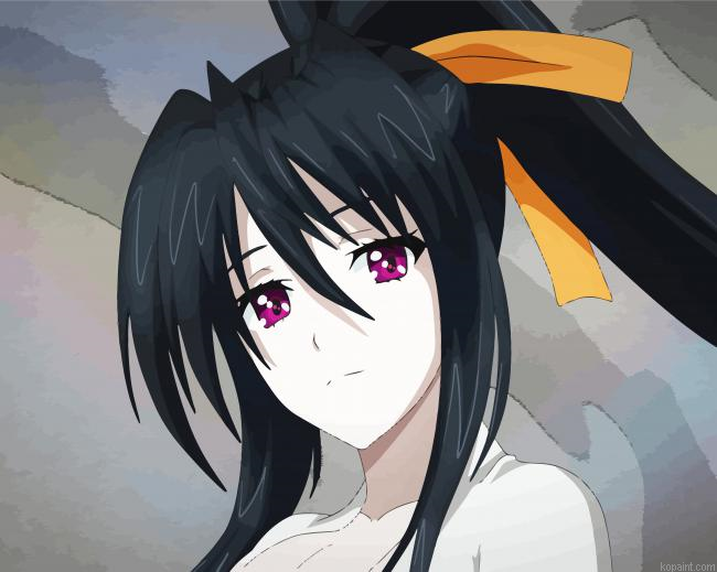 High School Dxd Akeno Paint By Numbers.png