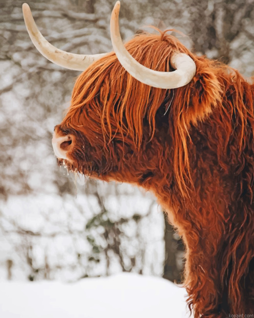 Highland Cow In Snow Painting By Numberss.png