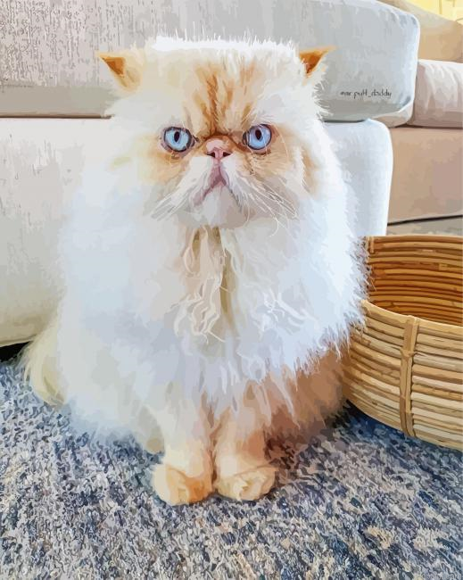 Himalayan Cat With Blue Eyes Painting By Numberss.png
