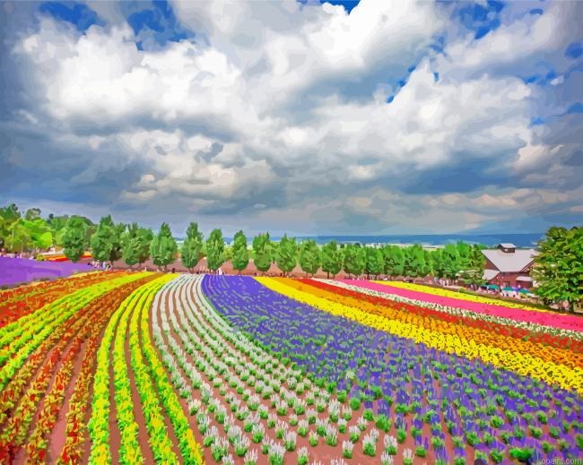 Hokkaido Farm Tomita Painting By Numberss.png