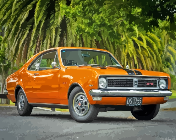 Holden Monaro Car Paint By Numbers