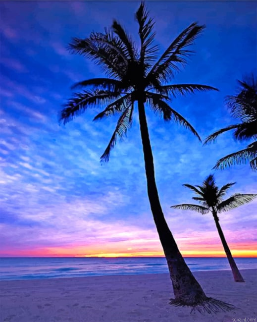Hollywood Beach New Painting By Numberss.png
