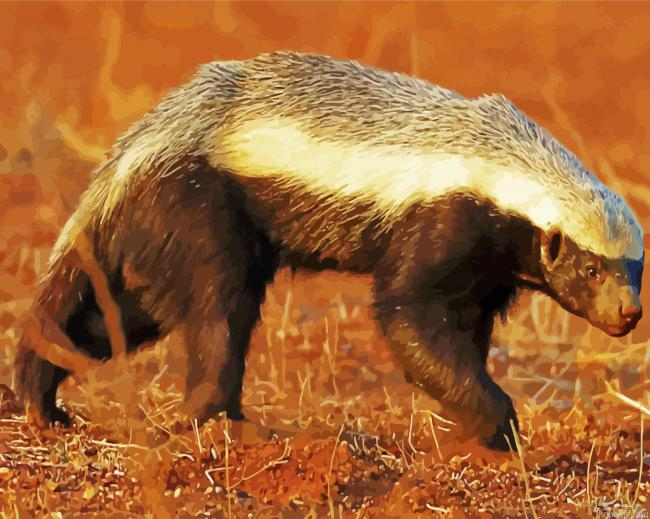 Honey Badger Animals Painting By Numberss.png